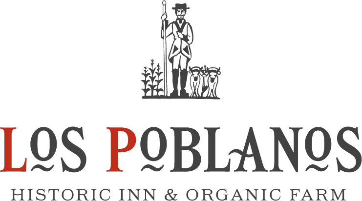 Formal SY logo_Stacked (002)